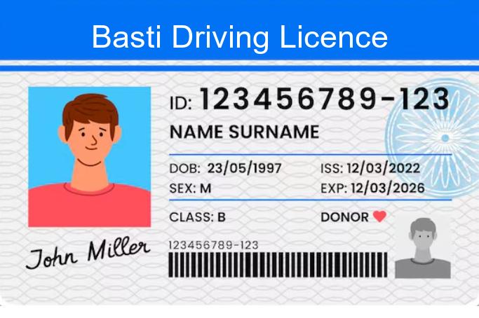 Basti License Service